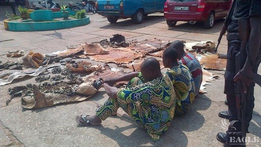 3 traffickers arrested in Benin in June2015_credit EAGLE
