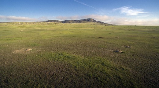 A black-tailed prairie dog colony extends across the harsh, windswept landscape of the Fort Belknap Indian Reservation.  © Conservation Media/WWF-US