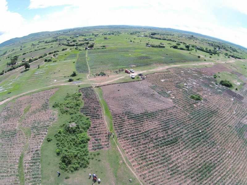 A drone's-eye view of Tanzanian agriculture. Photo by Caleb O'Brien. 