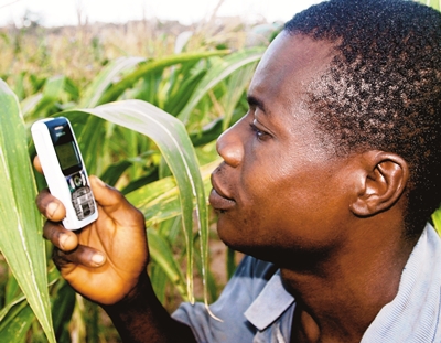 anzanian farmer applies mobile technology