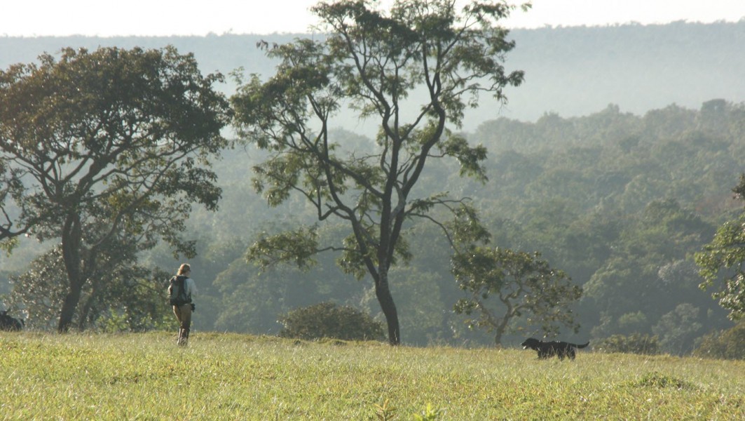 Mason at work in pasture next to cerrado forest