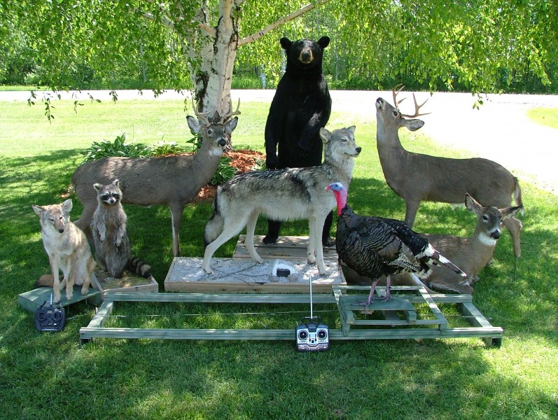 Remote-controlled robotic decoys of a fox, raccoon, deer, wolf, bear and turkey. Photo credit: CRW, Inc. 