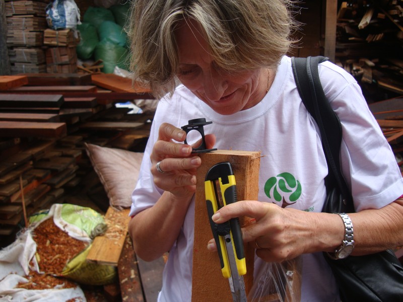 Wood anatomist Vera Coradin identifying lumber before the NIRS measurement is taken at a sawmill in Brasilia, Brazil. Photo credit: Project NIRS ID.