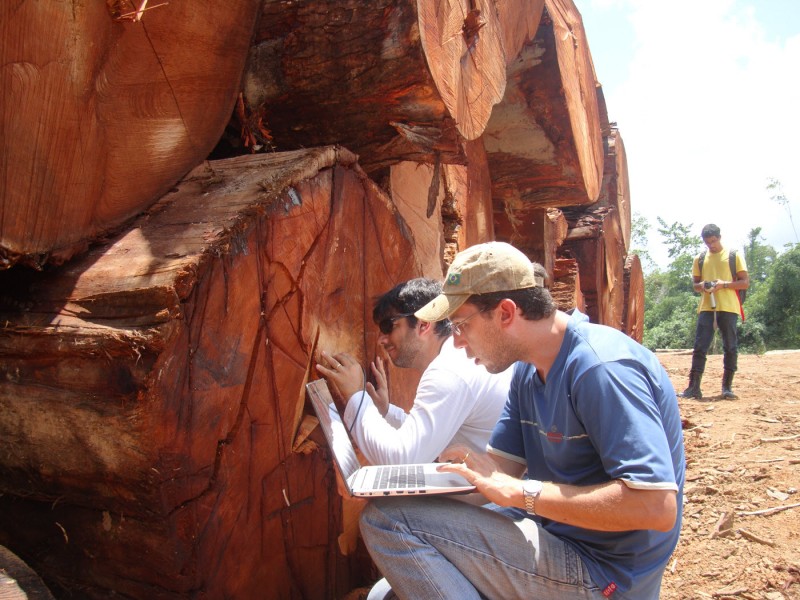 Fieldwork team preparing wood surface and taking NIRS spectra of big-leaf mahogany in Acre, Brazil. Photo credit: Project NIRS ID.