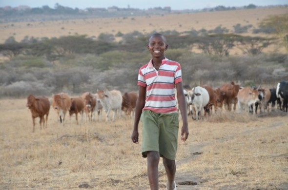 Richard Turere with cows. 