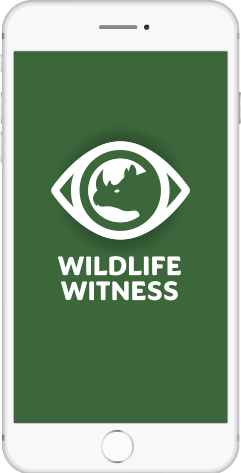Wildlife Witness is freely available for Apple and Android phones. Photo credit: Taronga.