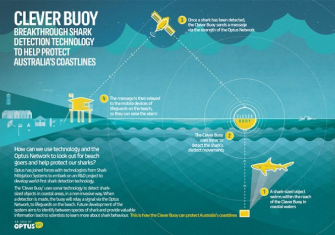 A diagram showing how Clever Buoy works. Photo Credit: Clever Buoy. 