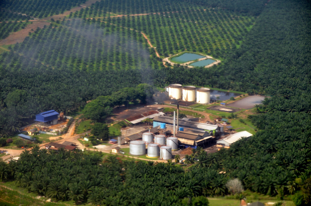 Palm oil mill in Sepang, Malaysia. Photo credit: Marufish.