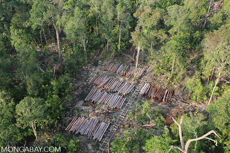 Logging in Sumatra. Photo by Rhett A. Butler.